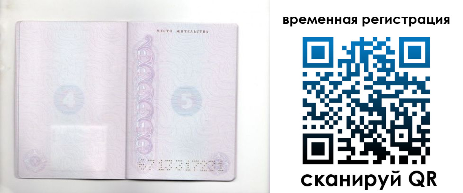 регистрация для дет. сада в Курской области